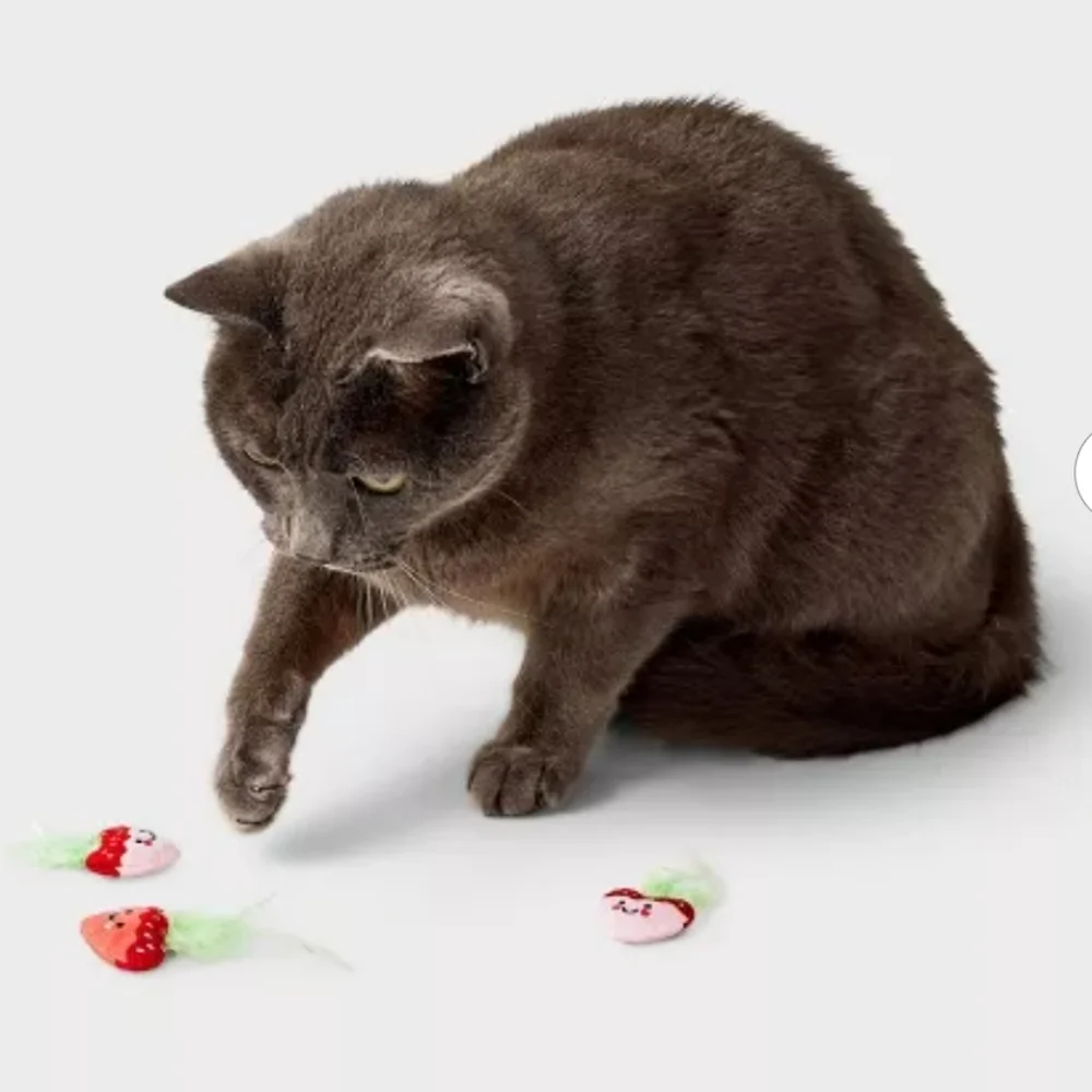 Strawberries Cat Toy - Boots & Barkley™ 3ct
